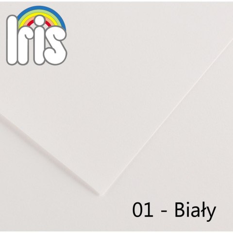 Brystol Canson A4 biały 185g 50k (200040152) Brystol Canson A4 biały 185g 50k (200040152)
