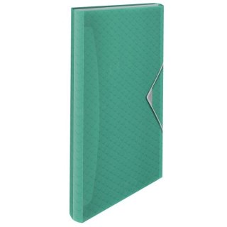 Teczka z przegródkami Esselte Colour Breeze A4 kolor: zielony 6 przegródek (626253)