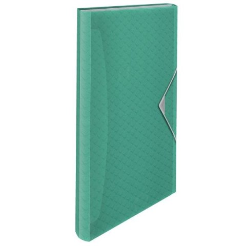 Teczka z przegródkami Esselte Colour Breeze A4 kolor: zielony 6 przegródek (626253) Teczka z przegródkami Esselte Colour Breeze A4 kolor: zielony 6 przegródek (626253)