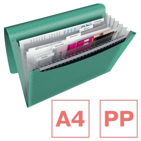 Teczka z przegródkami Esselte Colour Breeze A4 kolor: zielony 6 przegródek (626253) Teczka z przegródkami Esselte Colour Breeze A4 kolor: zielony 6 przegródek (626253)
