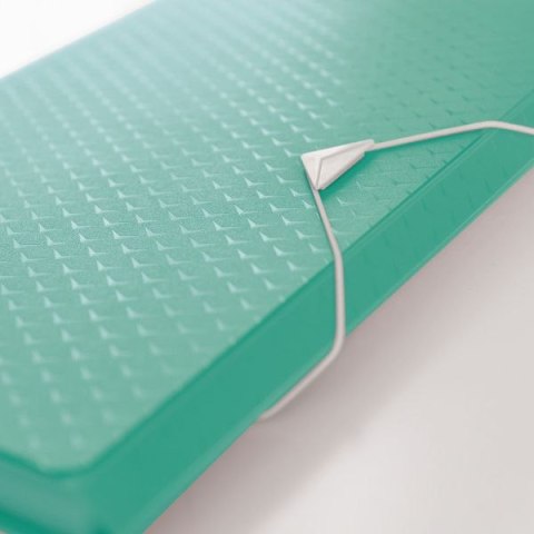 Teczka z przegródkami Esselte Colour Breeze A4 kolor: zielony 6 przegródek (626253) Teczka z przegródkami Esselte Colour Breeze A4 kolor: zielony 6 przegródek (626253)