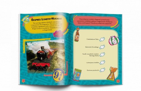 Książka dla dzieci Ameet WIZARDING WORLD™. ODKRYJ HOGWART! (HCA 5101) Książka dla dzieci Ameet WIZARDING WORLD™. ODKRYJ HOGWART! (HCA 5101)