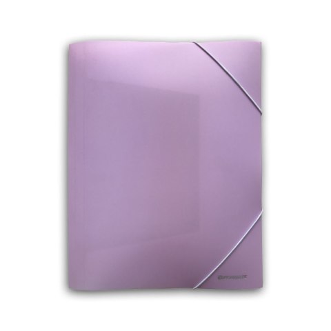 Teczka plastikowa na gumkę LUX PP-102 A4 pastelowa fioletowa A4 fioletowy Tadeo (TT8346) Teczka plastikowa na gumkę LUX PP-102 A4 pastelowa fioletowa A4 fioletowy Tadeo (TT8346)