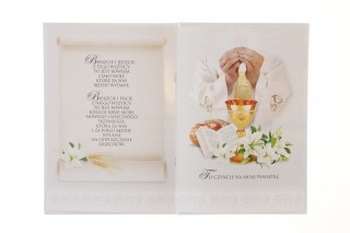 Książeczka pamiątkowa z komunii Merigraf komunia (9788365430328)