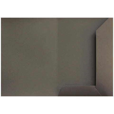 Teczka ofertowa Bigo jasna czekolada A4 kolor: czekoladowy (1039) Teczka ofertowa Bigo jasna czekolada A4 kolor: czekoladowy (1039)
