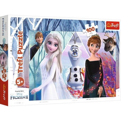 Puzzle Trefl Zaczarowana Kraina 100 el. (16418) Puzzle Trefl Zaczarowana Kraina 100 el. (16418)