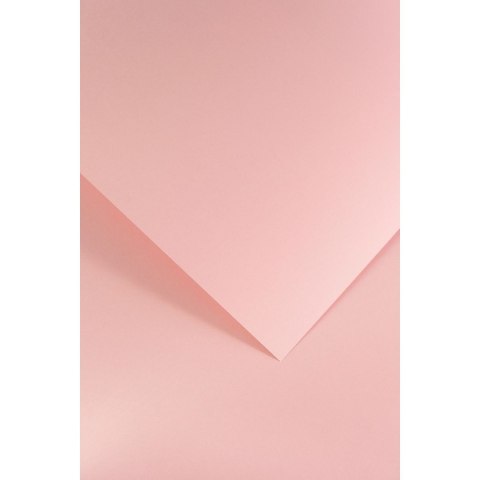 Papier ozdobny (wizytówkowy) Galeria Papieru gładki pudrowy róż A4 różowy 210g (205502) Papier ozdobny (wizytówkowy) Galeria Papieru gładki pudrowy róż A4 różowy 210g (205502)
