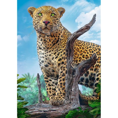 Puzzle Trefl dziki lampart 500 el. (37332) Puzzle Trefl dziki lampart 500 el. (37332)