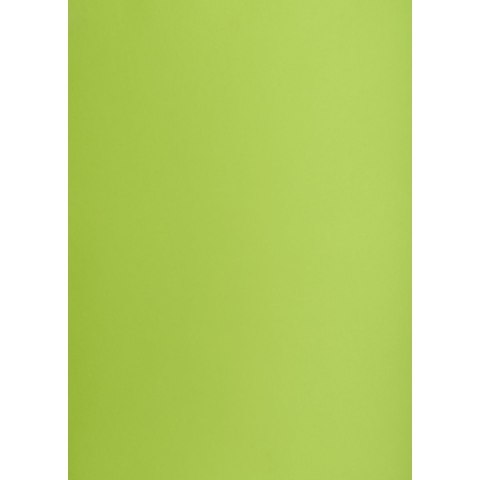 Brystol Creatinio zielony jasny B1 zielony jasny 225g 1k (400150267) Brystol Creatinio zielony jasny B1 zielony jasny 225g 1k (400150267)