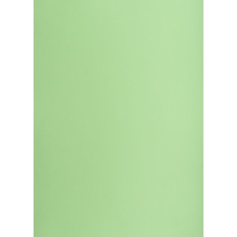 Brystol TOP-2000 A1 groszkowy 160g 25k [mm:] 610x860 (400149556)