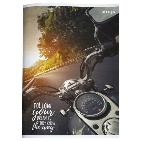 Zeszyt Strigo (5902315571341) Zeszyt Strigo (5902315571341)
