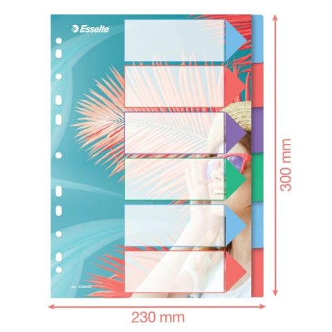 Przekładka czysta Esselte Colour Breeze A4 mix 6k (628499) Przekładka czysta Esselte Colour Breeze A4 mix 6k (628499)