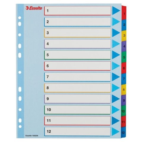 Przekładka numeryczna Esselte MYLAR A4 mix kolorów 160g 12k 1-12 (100209) Przekładka numeryczna Esselte MYLAR A4 mix kolorów 160g 12k 1-12 (100209)
