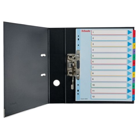 Przekładka numeryczna Esselte MYLAR A4 mix kolorów 160g 12k 1-12 (100209) Przekładka numeryczna Esselte MYLAR A4 mix kolorów 160g 12k 1-12 (100209)