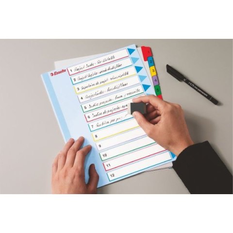 Przekładka numeryczna Esselte MYLAR A4 mix kolorów 160g 12k 1-12 (100209) Przekładka numeryczna Esselte MYLAR A4 mix kolorów 160g 12k 1-12 (100209)
