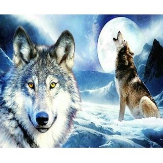 Zestaw kreatywny Norimpex Diamentowa mozaika wilk zimą 40x30cm (NO-1005264)