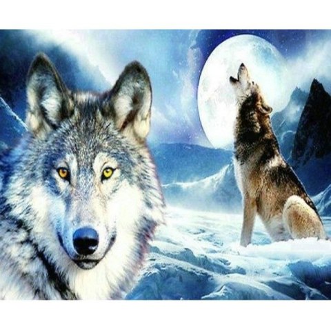 Zestaw kreatywny Norimpex Diamentowa mozaika wilk zimą 40x30cm (NO-1005264) Zestaw kreatywny Norimpex Diamentowa mozaika wilk zimą 40x30cm (NO-1005264)