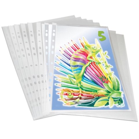 Koszulki na dokumenty Titanum A4 krystaliczne 50 szt. typ U 50um Koszulki na dokumenty Titanum A4 krystaliczne 50 szt. typ U 50um