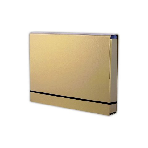 Teczka kartonowa Penmate (TT6759) Teczka kartonowa Penmate (TT6759)
