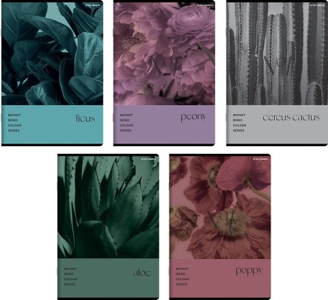 Zeszyt Top 2000 BOTANY A5 96k. 70g krata (400182448) Zeszyt Top 2000 BOTANY A5 96k. 70g krata (400182448)