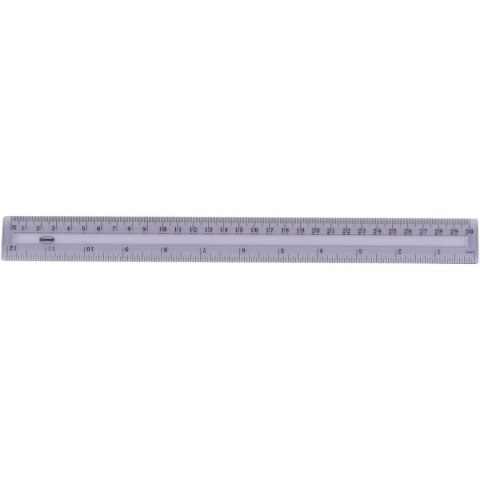 Linijka plastikowa Panta Plast 30cm (80727) Linijka plastikowa Panta Plast 30cm (80727)
