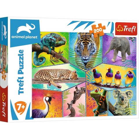 Puzzle Trefl 200 el. (13280) Puzzle Trefl 200 el. (13280)