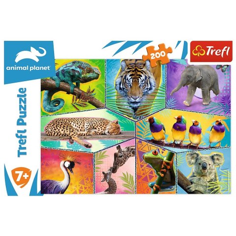 Puzzle Trefl 200 el. (13280) Puzzle Trefl 200 el. (13280)