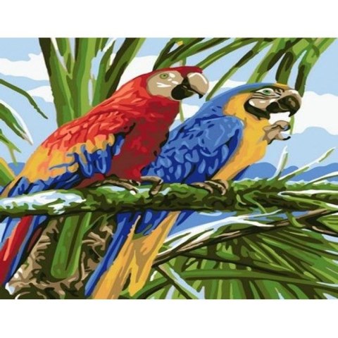 Zestaw kreatywny Norimpex malowanie po numerach - dwie papugi 40x50cm (NO-1008934) Zestaw kreatywny Norimpex malowanie po numerach - dwie papugi 40x50cm (NO-1008934)