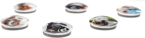 Magnes Fun&Joy PIES I KOT okrągły mix śr. 30mm 6 sztuk Magnes Fun&Joy PIES I KOT okrągły mix śr. 30mm 6 sztuk