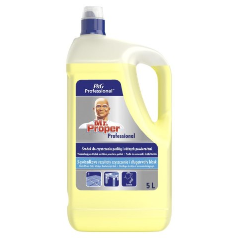 Płyn do podłóg Mr. Proper Professional 5000ml (1001000165) Płyn do podłóg Mr. Proper Professional 5000ml (1001000165)