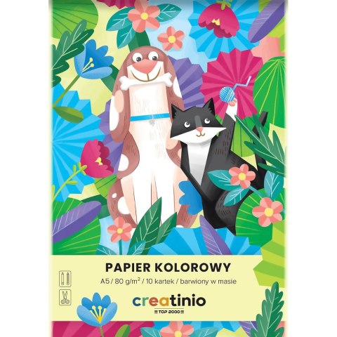 Papier kolorowy Top 2000 Creatinio A5 mix 80g (400176683) Papier kolorowy Top 2000 Creatinio A5 mix 80g (400176683)