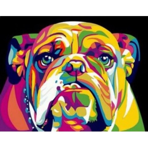 Zestaw kreatywny Norimpex malowanie po numerach -kolorowy buldog (NO-1005585) Zestaw kreatywny Norimpex malowanie po numerach -kolorowy buldog (NO-1005585)