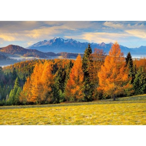 Kalendarz ścienny Pejzaże Polski Lucrum rodzinny 2023 280mm x 200mm (WL03)