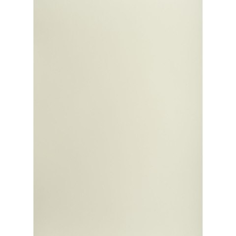 Brystol TOP-2000 A1 jasnoszary 160g 25k [mm:] 610x860 (400149522)