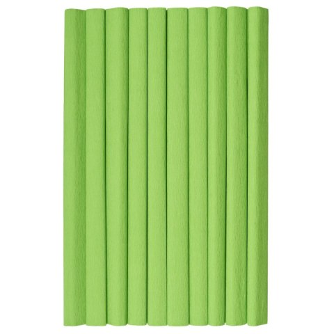 Bibuła marszczona TOP-2000 jasnozielony 20mm x 500mm (400153920) Bibuła marszczona TOP-2000 jasnozielony 20mm x 500mm (400153920)
