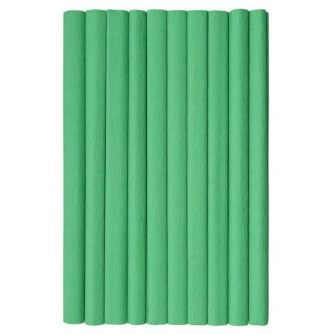 Bibuła marszczona TOP-2000 zielony 20mm x 500mm (400153937) Bibuła marszczona TOP-2000 zielony 20mm x 500mm (400153937)