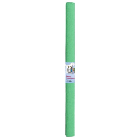 Bibuła marszczona TOP-2000 zielony 20mm x 500mm (400153937) Bibuła marszczona TOP-2000 zielony 20mm x 500mm (400153937)