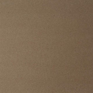 Papier ozdobny (wizytówkowy) Argo kraft A4 beżowy 270g (207426)
