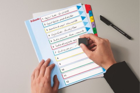 Przekładka numeryczna Esselte Mylar maxi A4 mix kolorów 160g 10k 1-10 (100208) Przekładka numeryczna Esselte Mylar maxi A4 mix kolorów 160g 10k 1-10 (100208)