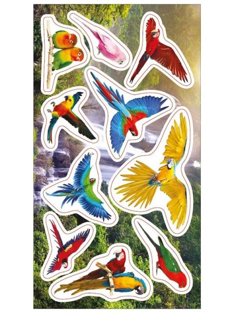 Naklejka (nalepka) Ranok Creative papugi Naklejka (nalepka) Ranok Creative papugi