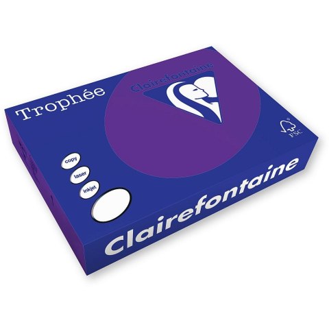Papier kolorowy Trophee kolorowy A4 fioletowy 160g (xca41018) Papier kolorowy Trophee kolorowy A4 fioletowy 160g (xca41018)