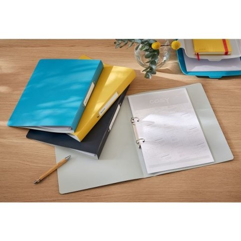 Segregator ringowy Leitz Cosy A4 32mm szary (42380089) Segregator ringowy Leitz Cosy A4 32mm szary (42380089)