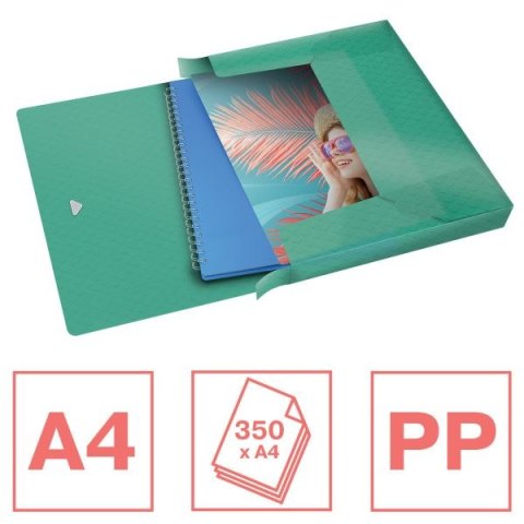 Teczka plastikowa na gumkę Colour Breeze poszerzana A4 zielony Esselte (626265) Teczka plastikowa na gumkę Colour Breeze poszerzana A4 zielony Esselte (626265)