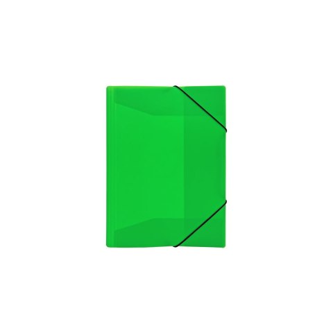 Teczka plastikowa Neon Biurfol (TG-NEON-A4-03) Teczka plastikowa Neon Biurfol (TG-NEON-A4-03)