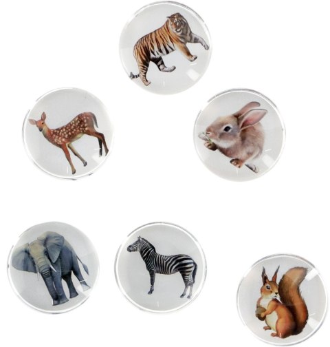 Magnes Fun&Joy ZWIERZĘTA okrągły mix śr. 30mm 6 sztuk Magnes Fun&Joy ZWIERZĘTA okrągły mix śr. 30mm 6 sztuk