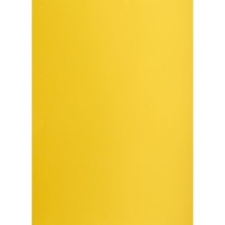 Brystol Creatinio żółty ciemny B1 żółty 225g 1k (400150257)