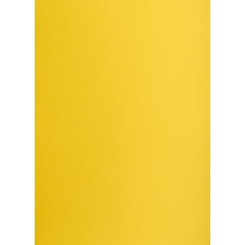 Brystol Creatinio żółty ciemny B1 żółty 225g 1k (400150257) Brystol Creatinio żółty ciemny B1 żółty 225g 1k (400150257)