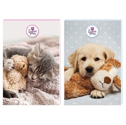 Notes Beniamin The Sweet Pets A6 30k. poddruk (2505) Notes Beniamin The Sweet Pets A6 30k. poddruk (2505)