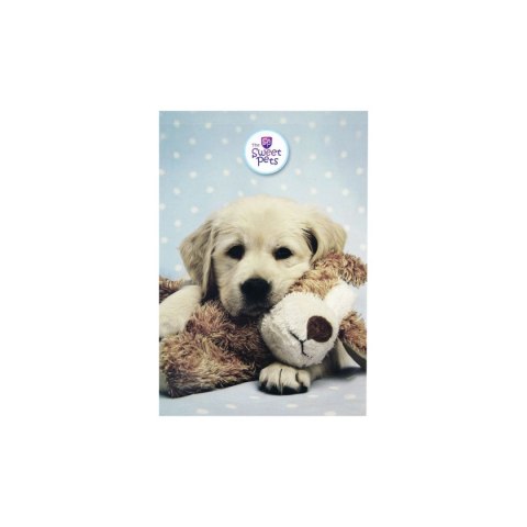 Notes Beniamin The Sweet Pets A6 30k. poddruk (2505) Notes Beniamin The Sweet Pets A6 30k. poddruk (2505)