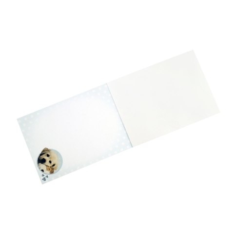 Notes Beniamin The Sweet Pets A6 30k. poddruk (2505) Notes Beniamin The Sweet Pets A6 30k. poddruk (2505)